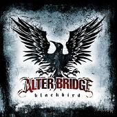 ALTER BRIDGE - Blackbird