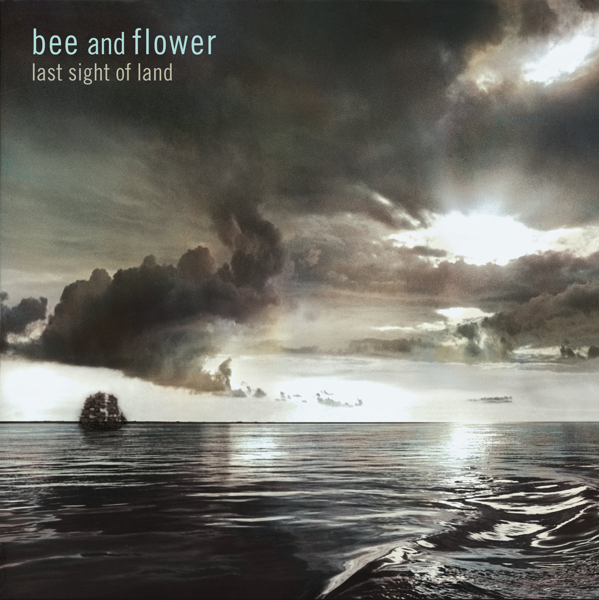 BEE AND FLOWER - Last Sight Of Land