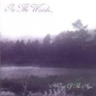 IN THE WOODS... - HEart Of The Ages