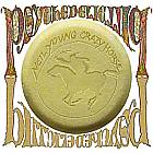NEIL YOUNG - Psychedelic Pill