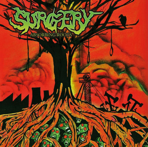 SURGERY - Absorbing Roots