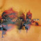 RAYS OF THE SUN - Living Flowers Gallery
