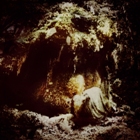 WOLVES IN THE THRONE ROOM - Celestial Lineage