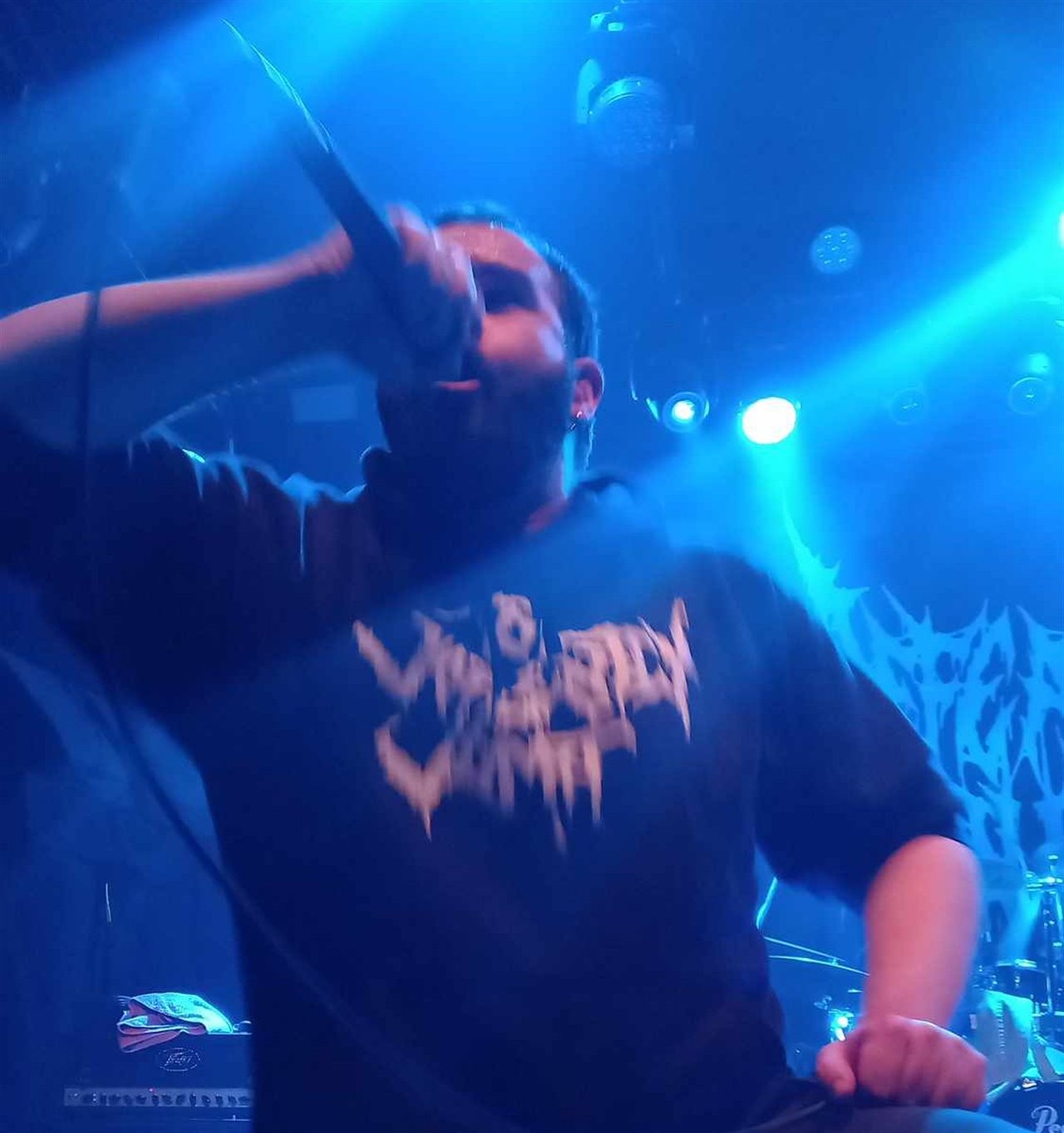 DEFEATED SANITY