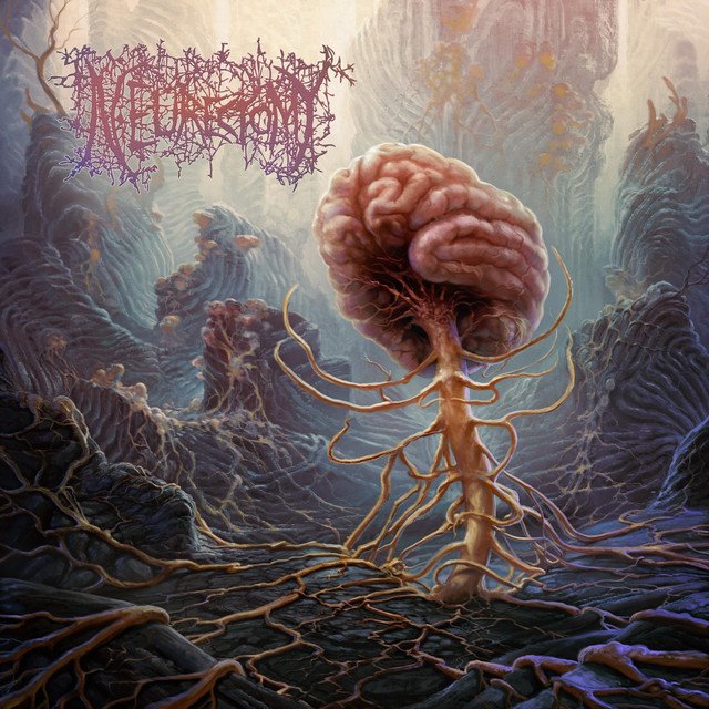 NEURECTOMY - Overwrought