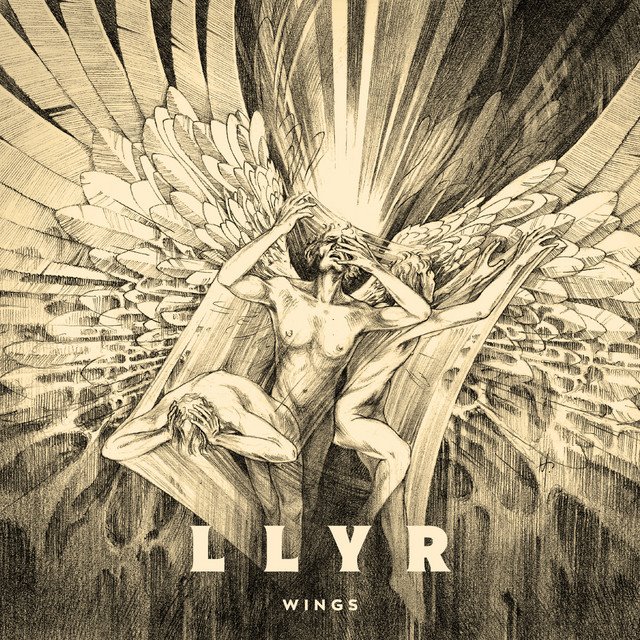 LLYR - Wings