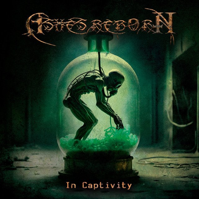 ASHES REBORN - In Captivity