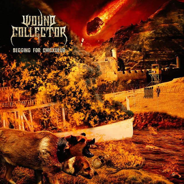 WOUND COLLECTOR - Begging For Chicxulub