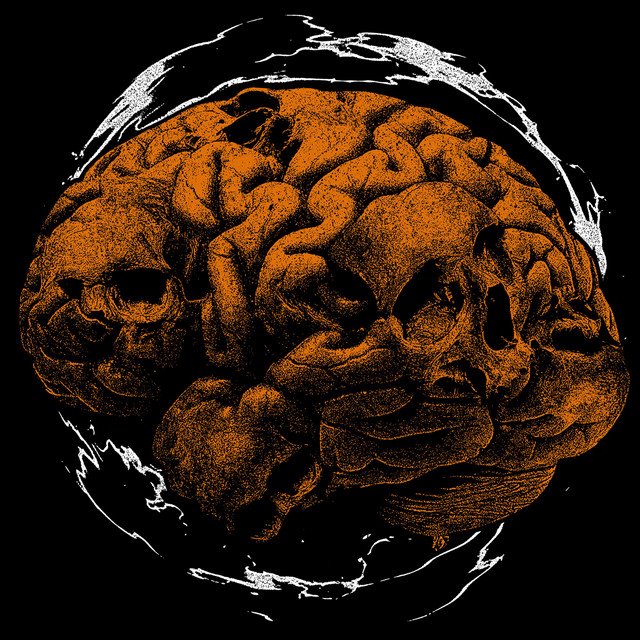 THE LUMBAR ENDEAVOR - Agglomeration