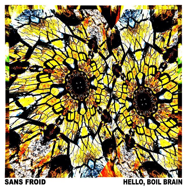 SANS FROID - Hello, Boil Brain