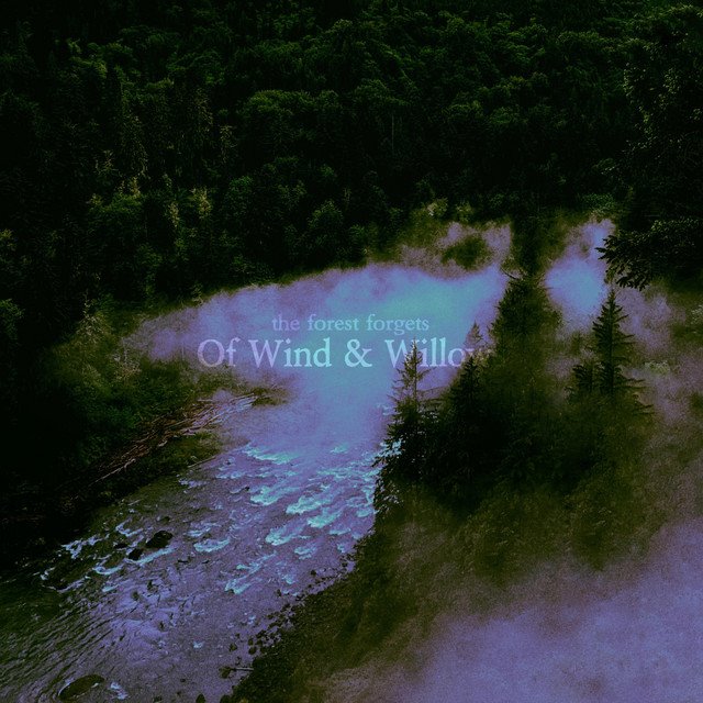 THE FOREST FORGETS - Of Wind & Willows