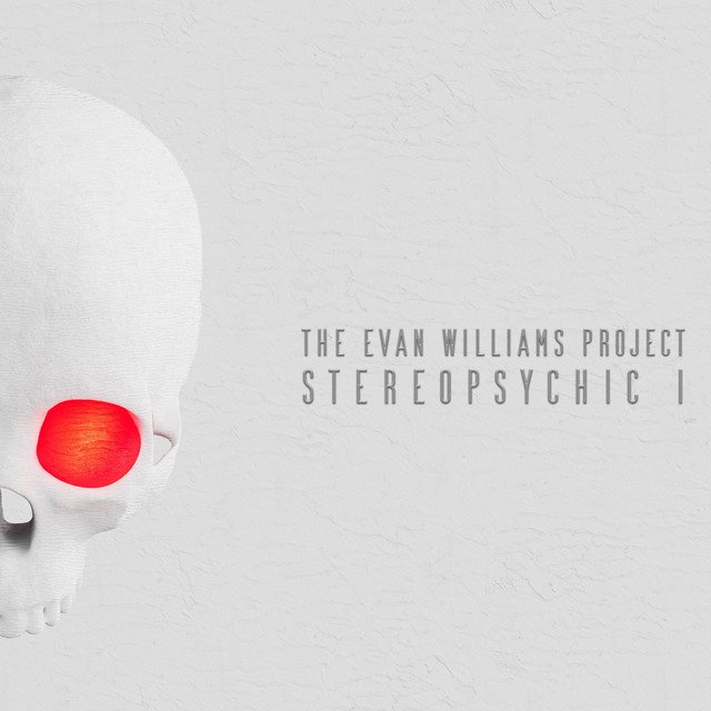 THE EVAN WILLIAMS PROJECT - STEREOPSYCHIC I