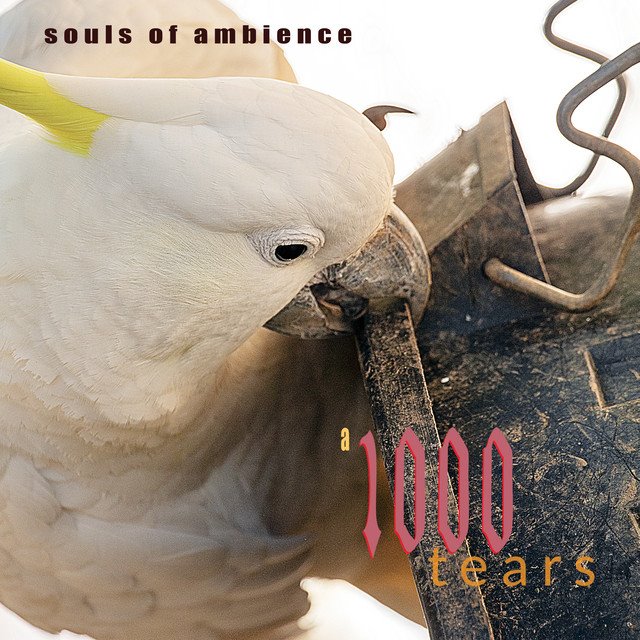 SOULS OF AMBIENCE - A 1000 Tears