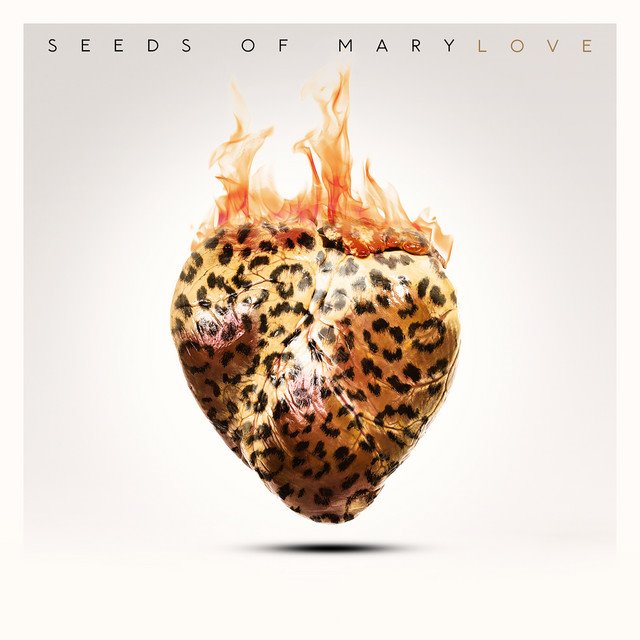 SEEDS OF MARY - LOVE