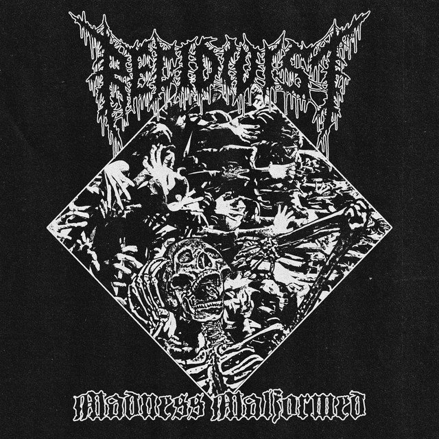 RECIDIVIST - Madness Malformed