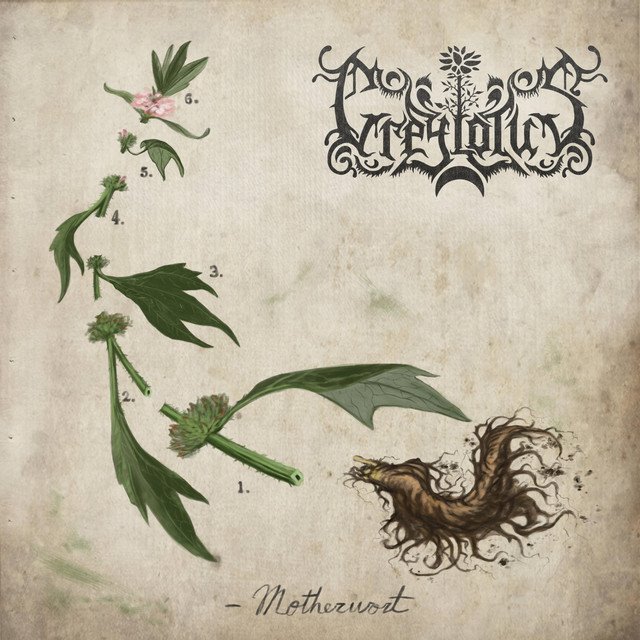 GREYLOTUS - Motherwort