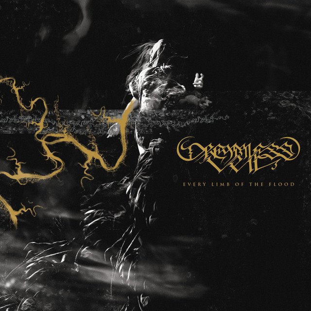 DREAMLESS VEIL - Every Limb of the Flood