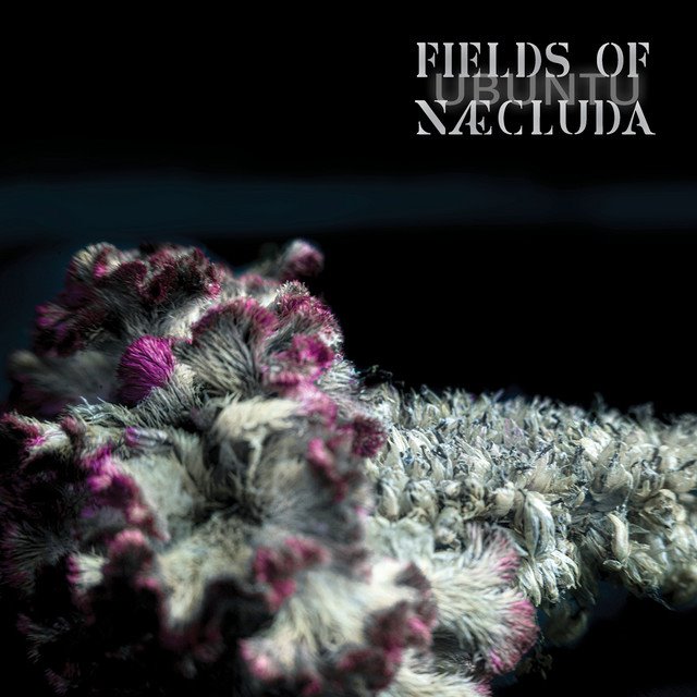 FIELDS OF NÆCLUDA - Ubuntu