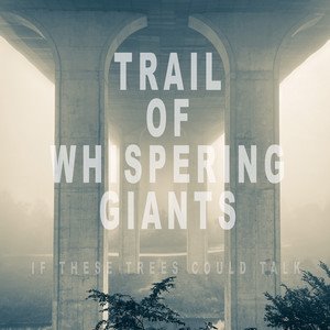 IF THESE TREES COULD TALK - Trail of Whispering Giants