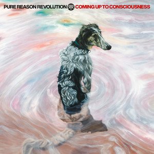 PURE REASON REVOLUTION - Coming Up To Consciousness