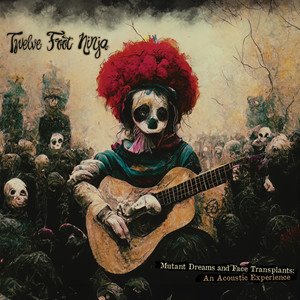 TWELVE FOOT NINJA - Mutant Dreams and Face Transplants: An Acoustic Experience