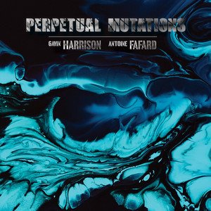 GAVIN HARRISON - Perpetual Mutations