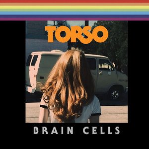 TORSO - Brain Cells