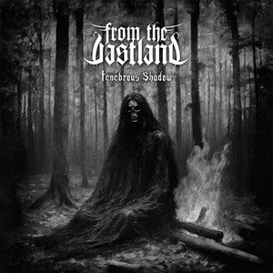 FROM THE VASTLAND - Tenebrous Shadow