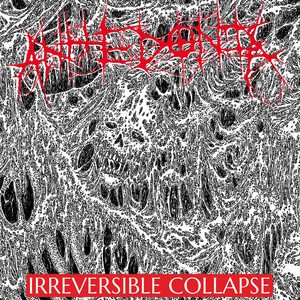 ANHEDONIA - IRREVERSIBLE COLLAPSE